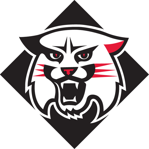 Davidson Wildcats 2010-Pres Alternate Logo iron on transfers for T-shirts